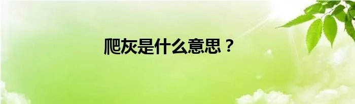 爬灰是什么意思？