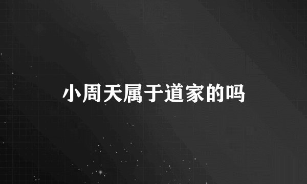 小周天属于道家的吗
