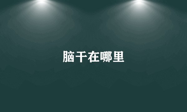 脑干在哪里