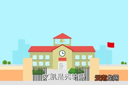 文凯同学,文凯是秃驴吗