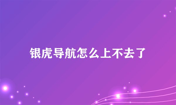 银虎导航怎么上不去了