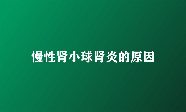 慢性肾小球肾炎的原因