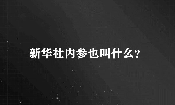 新华社内参也叫什么？