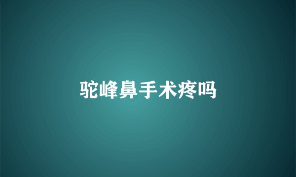 驼峰鼻手术疼吗
