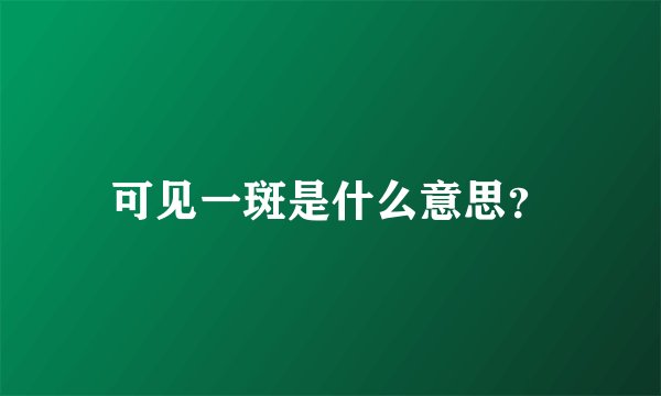 可见一斑是什么意思？