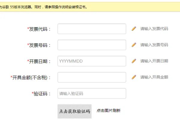 国税网查询