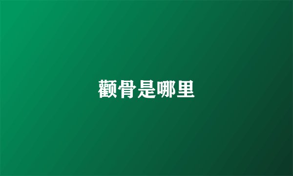 颧骨是哪里