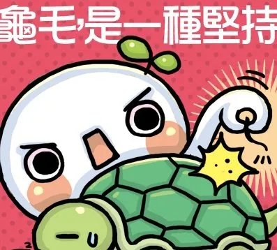 “龟毛”是什么意思?