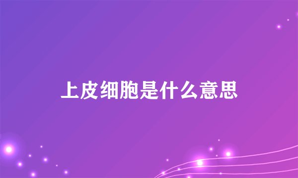 上皮细胞是什么意思