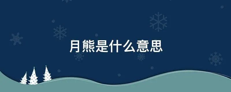 月熊是什么意思