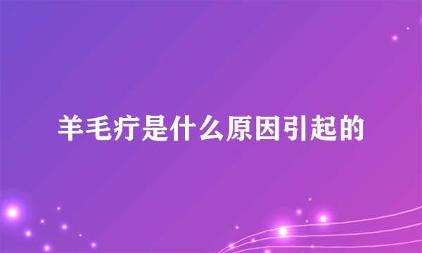 羊毛疔是什么原因引起的