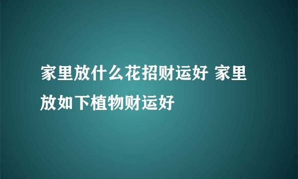 家里放什么花招财运好 家里放如下植物财运好