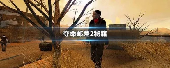 夺命邮差2秘籍