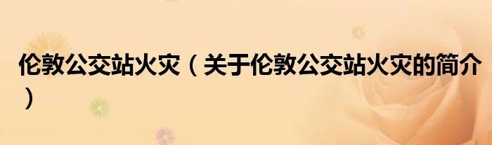 伦敦公交站火灾（关于伦敦公交站火灾的简介）