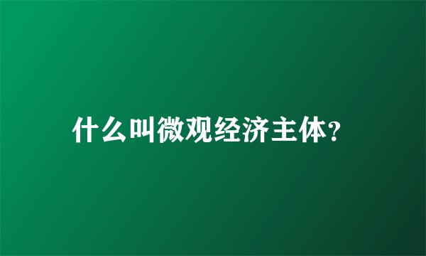 什么叫微观经济主体？