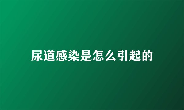尿道感染是怎么引起的
