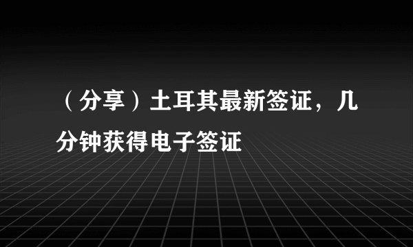 （分享）土耳其最新签证，几分钟获得电子签证