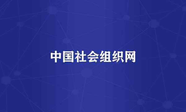 中国社会组织网