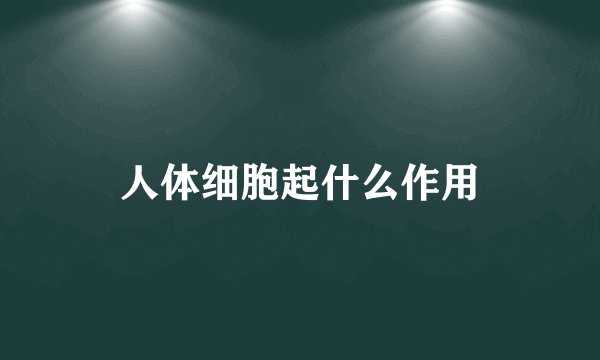 人体细胞起什么作用
