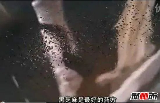 超恶心芝麻女孩的故事,芝麻镶进毛孔用牙签挑(图片/慎点)