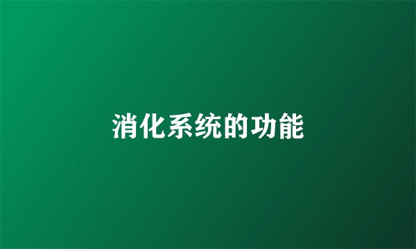 消化系统的功能