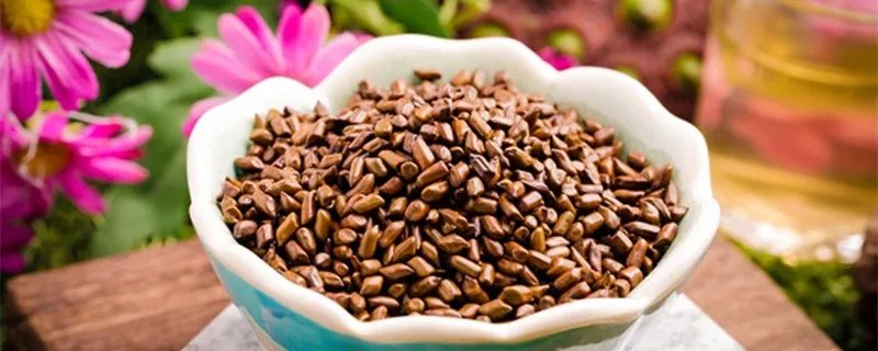 茗茶是什么茶