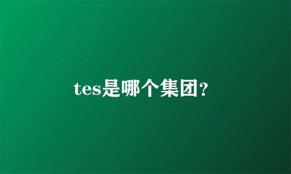 tes是哪个集团?