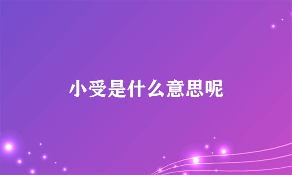 小受是什么意思呢