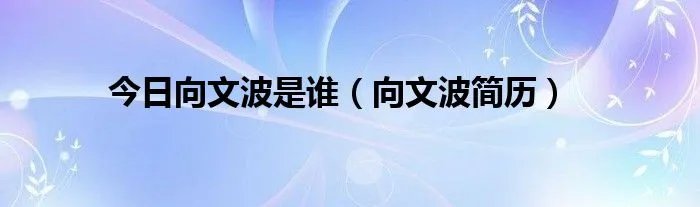 今日向文波是谁（向文波简历）