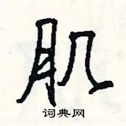 肌组词_肌字怎么组词_肌组词有哪些_带肌字的词语