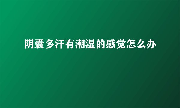 阴囊多汗有潮湿的感觉怎么办