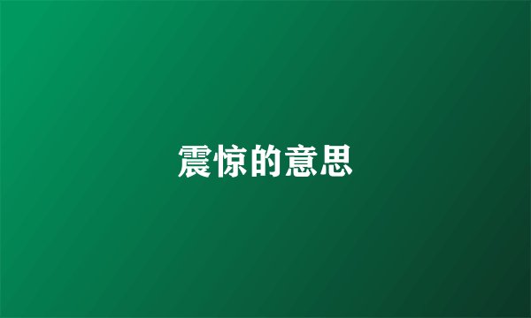震惊的意思