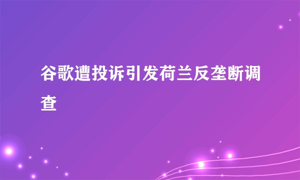 谷歌遭投诉引发荷兰反垄断调查