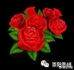 沈巍流浪,是主动选择还是另有隐情?