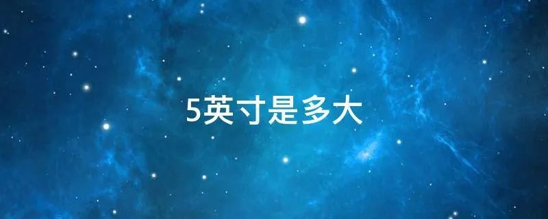 5英寸是多大
