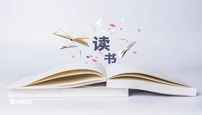 茶花女的作者