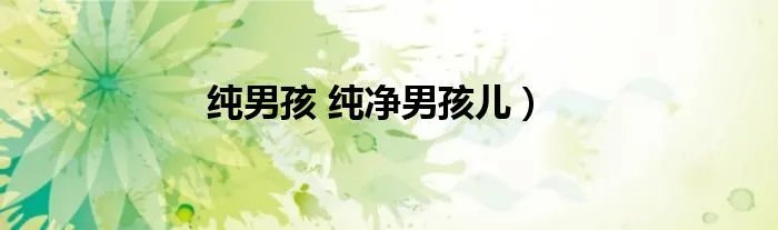 纯男孩 纯净男孩儿）