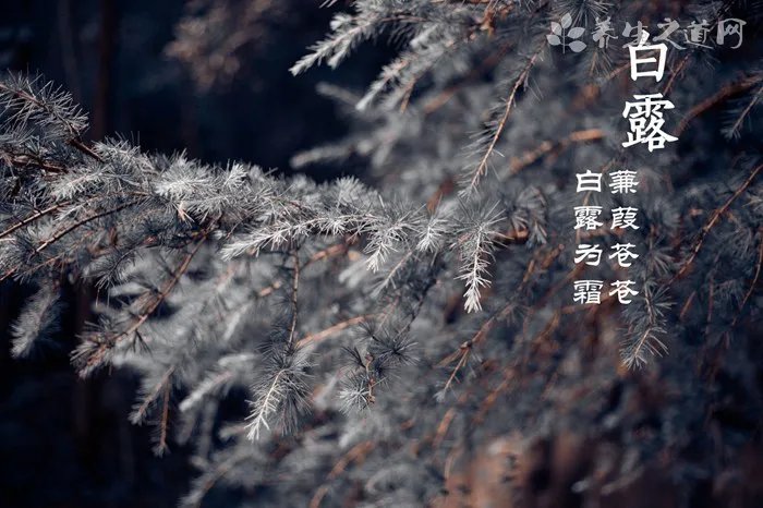 婴儿体温多少算正常