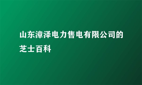 山东漳泽电力售电有限公司的芝士百科