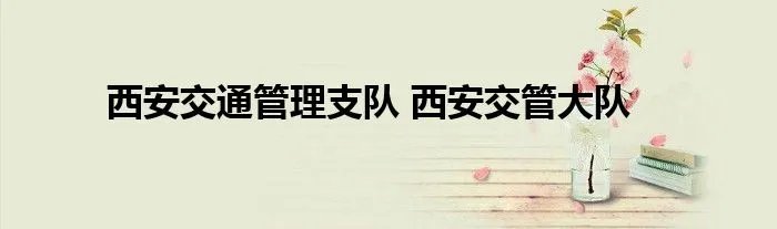 西安交通管理支队 西安交管大队