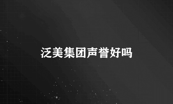 泛美集团声誉好吗