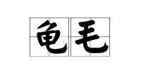 “龟毛”是什么意思?