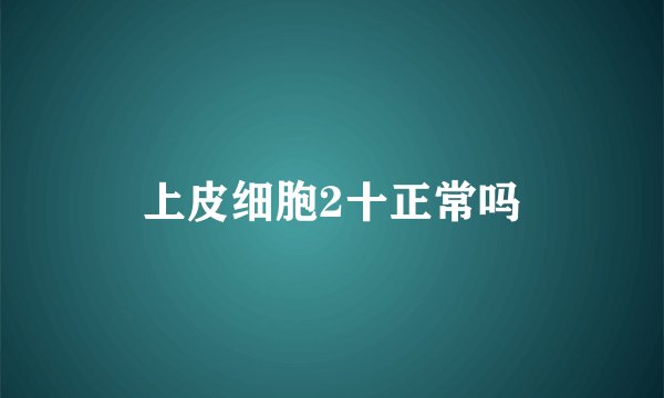 上皮细胞2十正常吗
