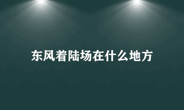 东风着陆场在什么地方