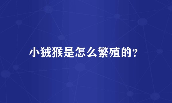 小狨猴是怎么繁殖的？