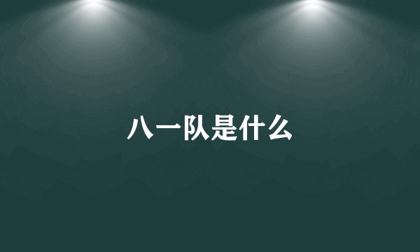 八一队是什么