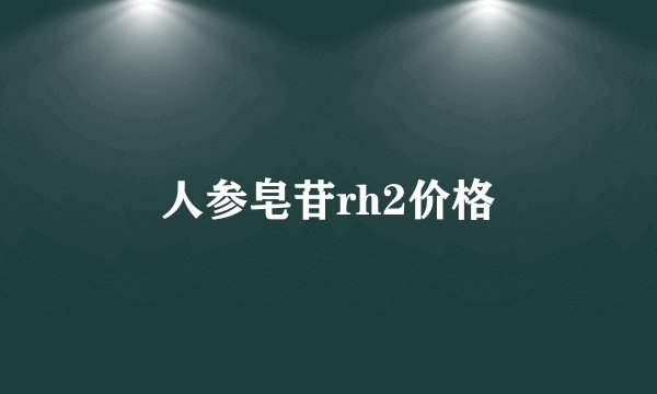 人参皂苷rh2价格