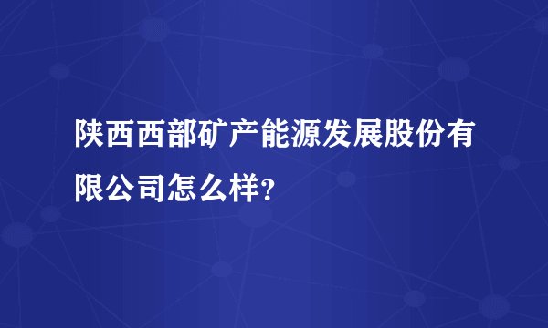 陕西西部矿产能源发展股份有限公司怎么样？