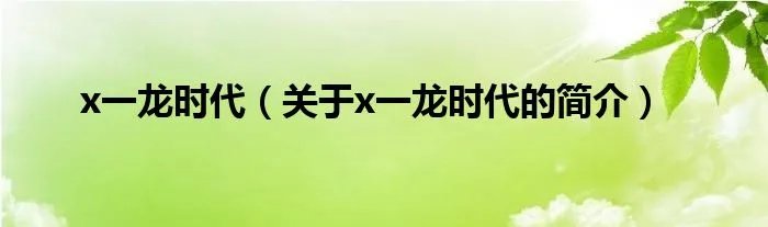 x一龙时代（关于x一龙时代的简介）