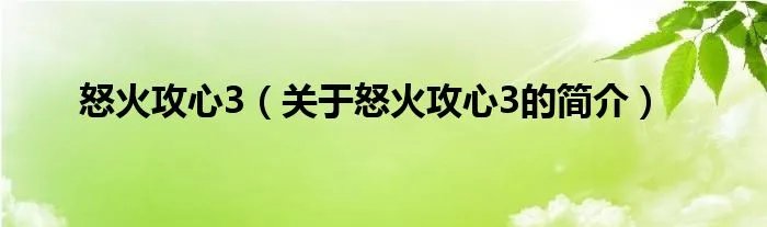 怒火攻心3（关于怒火攻心3的简介）